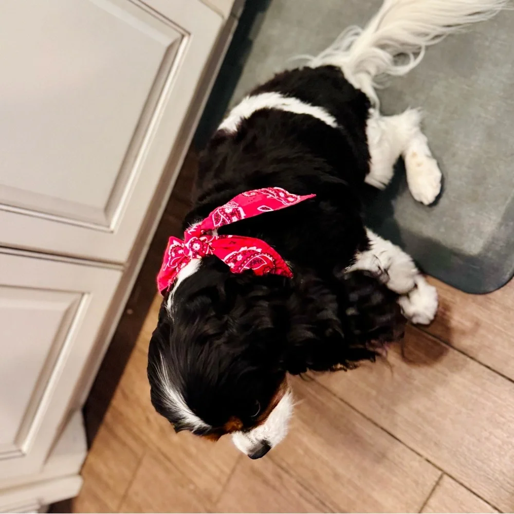 COOLING Red Bandana Dog Collar - Rustic Boho Bow Tie - Unisex Dogs Pet Wrap